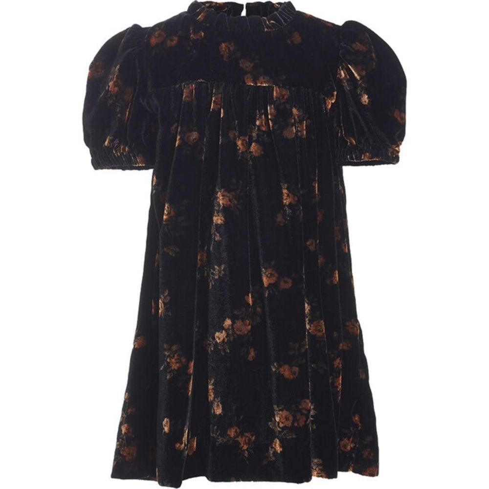 Sea New York Velvet Kids Dress with Floral Design Brand New never worn